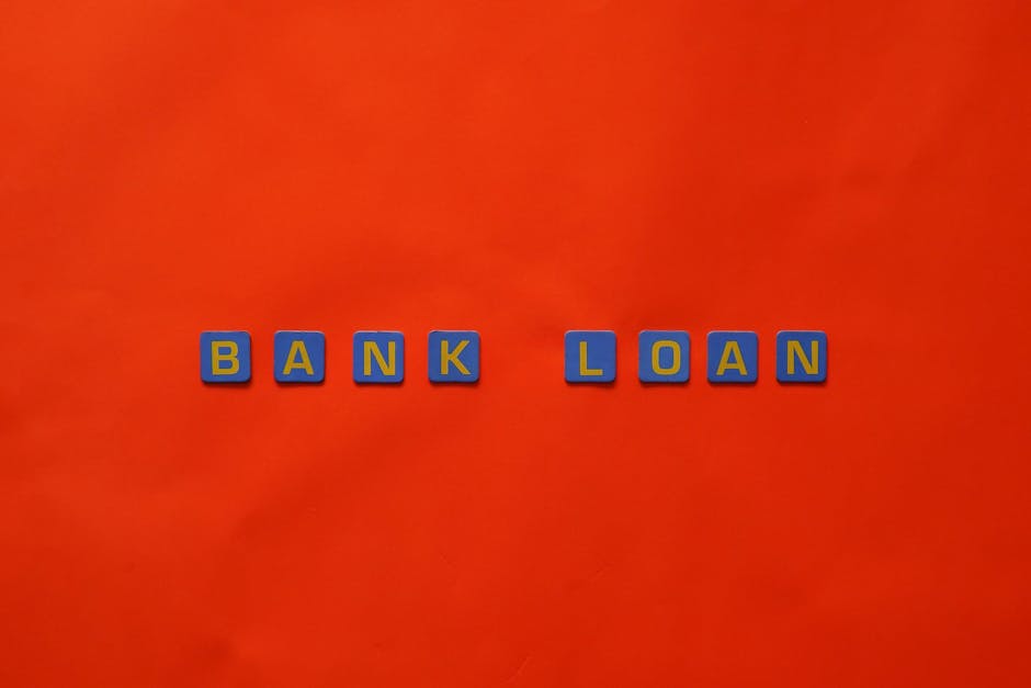 Loans