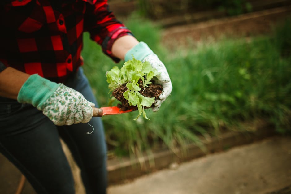 How to Grow a Small Business in the UK: Practical Steps That Work